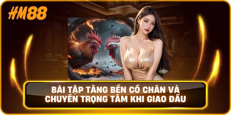 Bài tập tăng bền cổ chân và chuyển trọng tâm khi giao đấu