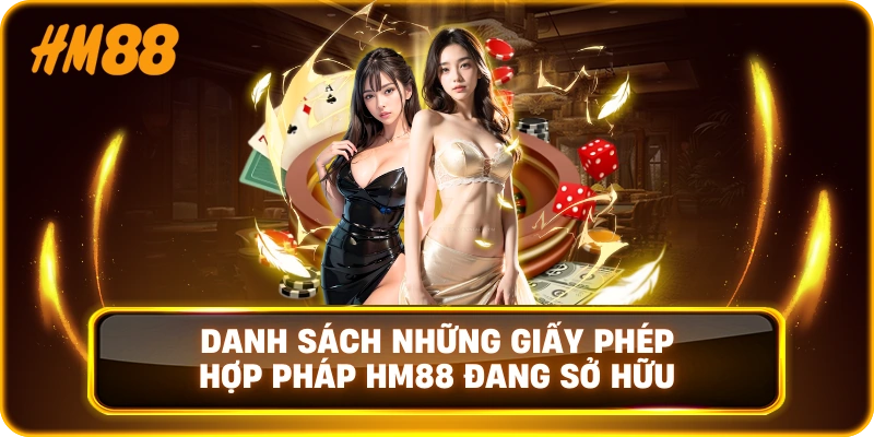Danh sách những giấy phép hợp pháp HM88 đang sở hữu