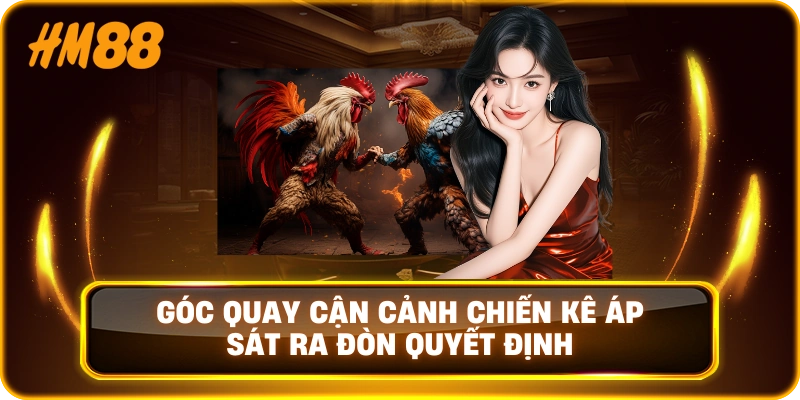  Góc quay cận cảnh chiến kê áp sát ra đòn quyết định