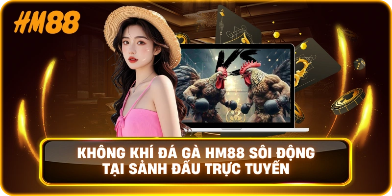 Không khí Đá Gà HM88 sôi động tại sảnh đấu trực tuyến