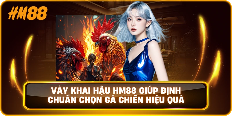 Vảy khai hậu HM88 giúp định chuẩn chọn gà chiến hiệu quả